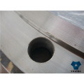 Flange cega (BL) aço inoxidável forjado Flange